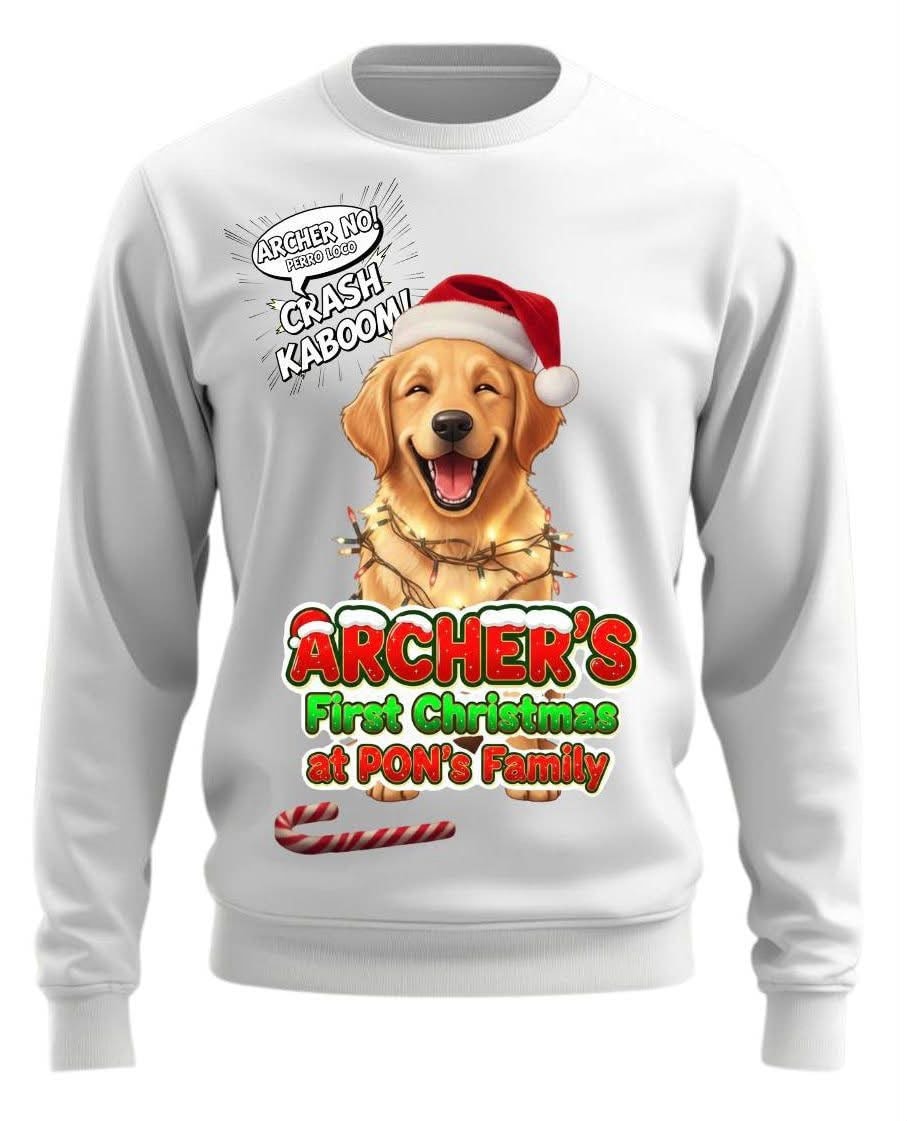 Perro con gorro de Santa Claus en sudadera navideña personalizada — ropa para mascotas